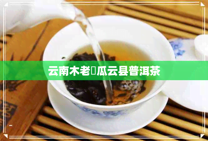 云南木老樹瓜云县普洱茶