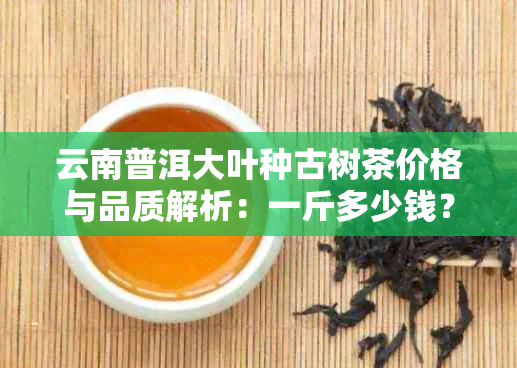 云南普洱大叶种古树茶价格与品质解析：一斤多少钱？