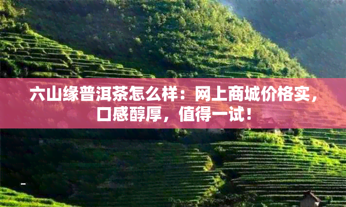 六山缘普洱茶怎么样：网上商城价格实，口感醇厚，值得一试！