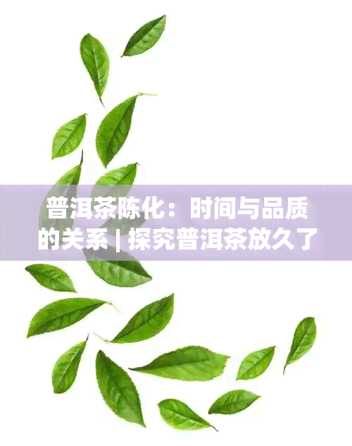 普洱茶陈化：时间与品质的关系 | 探究普洱茶放久了会陈化的原因和影响