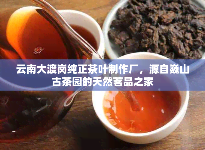 云南大渡岗纯正茶叶制作厂，源自巍山古茶园的天然茗品之家