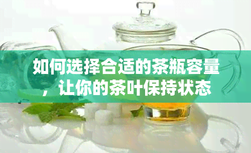 如何选择合适的茶瓶容量，让你的茶叶保持状态