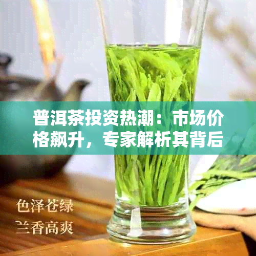 普洱茶投资热潮：市场价格飙升，专家解析其背后原因