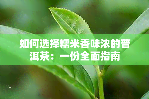 如何选择糯米香味浓的普洱茶：一份全面指南