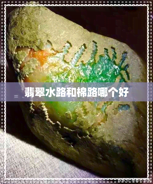 翡翠水路和棉路哪个好