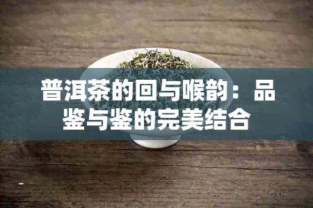 普洱茶的回与喉韵：品鉴与鉴的完美结合