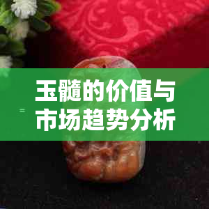 玉髓的价值与市场趋势分析：金枝玉叶的真实价值是多少？