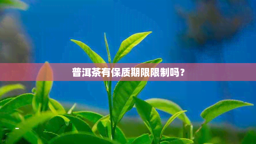 普洱茶有保质期限限制吗？