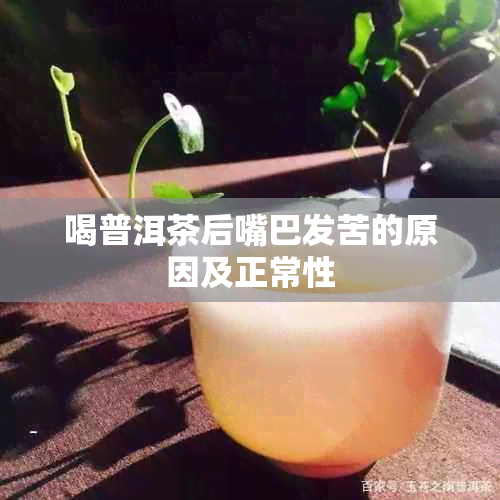 喝普洱茶后嘴巴发苦的原因及正常性