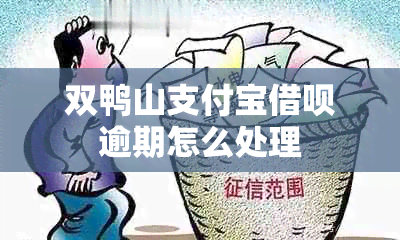 双鸭山支付宝借呗逾期怎么处理