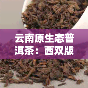 云南原生态普洱茶：西双版纳傣族自治州的珍稀茶品探索