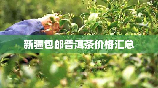 新疆包邮普洱茶价格汇总