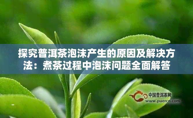 探究普洱茶泡沫产生的原因及解决方法：煮茶过程中泡沫问题全面解答