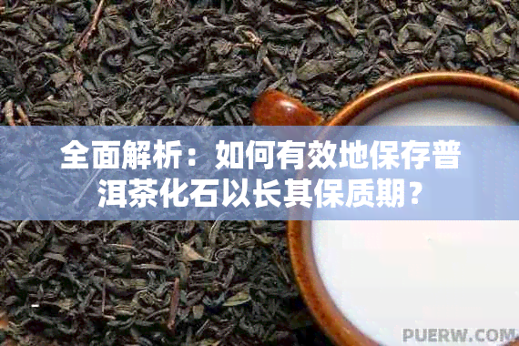 全面解析：如何有效地保存普洱茶化石以长其保质期？