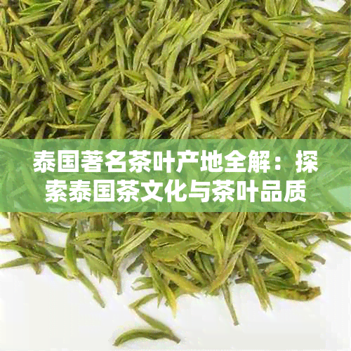 泰国著名茶叶产地全解：探索泰国茶文化与茶叶品质的奥秘