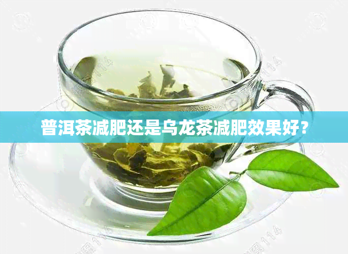 普洱茶减肥还是乌龙茶减肥效果好？