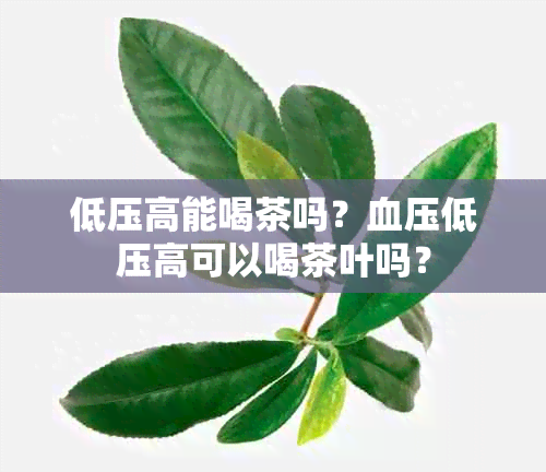 低压高能喝茶吗？血压低压高可以喝茶叶吗？