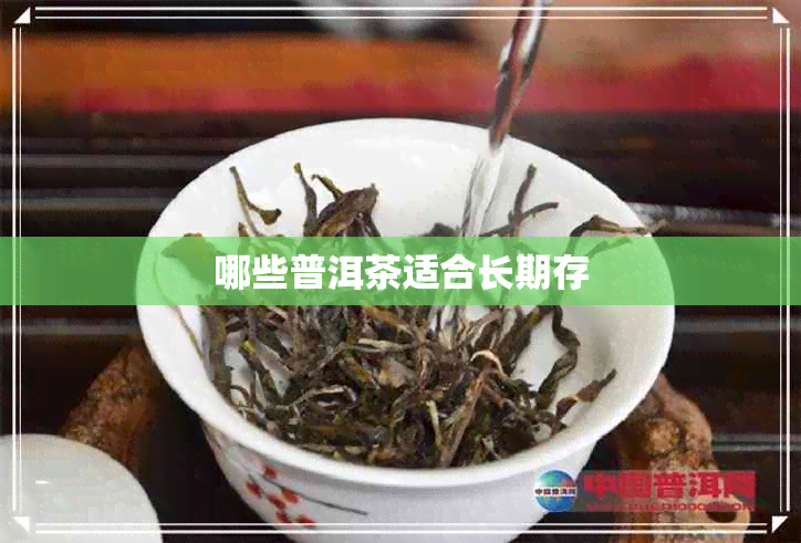 哪些普洱茶适合长期存