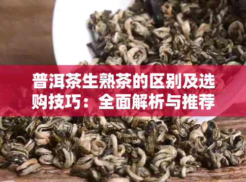 普洱茶生熟茶的区别及选购技巧：全面解析与推荐