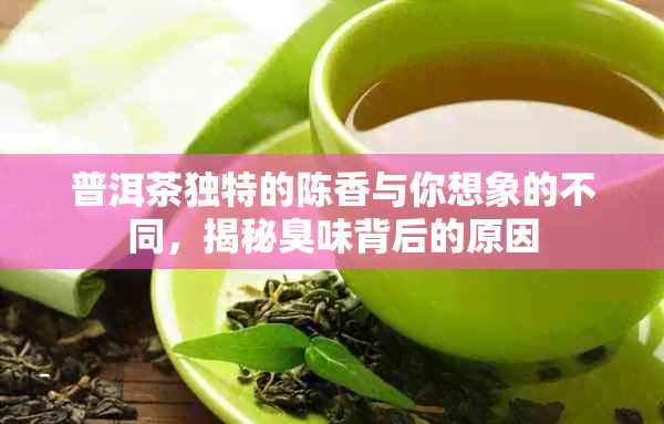 普洱茶独特的陈香与你想象的不同，揭秘臭味背后的原因