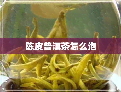 陈皮普洱茶怎么泡