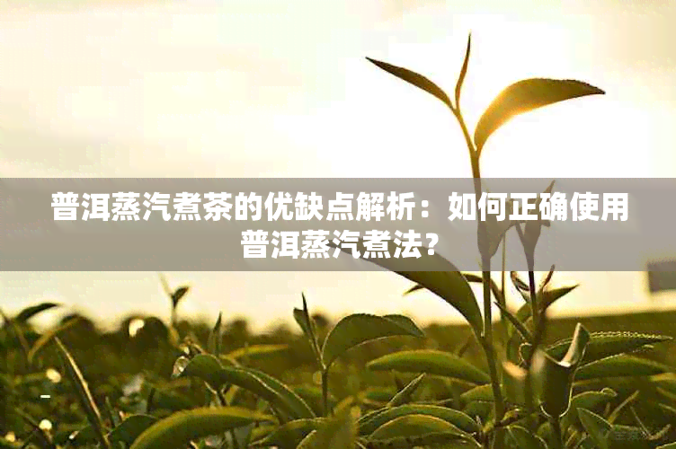 普洱蒸汽煮茶的优缺点解析：如何正确使用普洱蒸汽煮法？