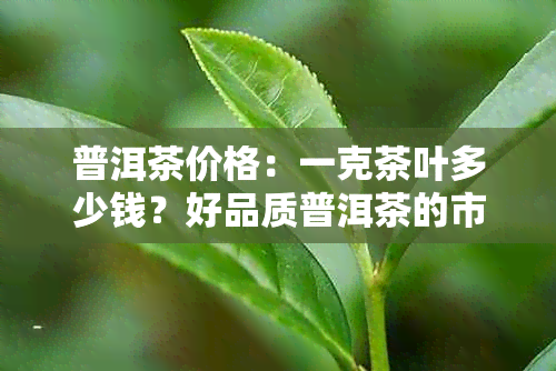 普洱茶价格：一克茶叶多少钱？好品质普洱茶的市场行情分析