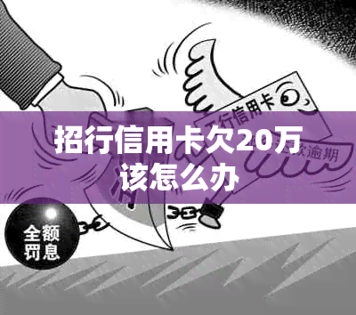 招行信用卡欠20万该怎么办