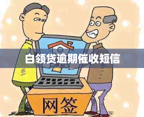 白领贷逾期短信