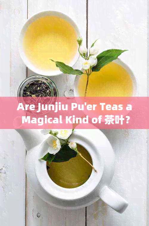 Are Junjiu Pu'er Teas a Magical Kind of 茶叶？