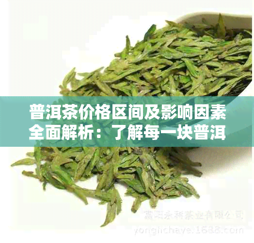 普洱茶价格区间及影响因素全面解析：了解每一块普洱茶的价值