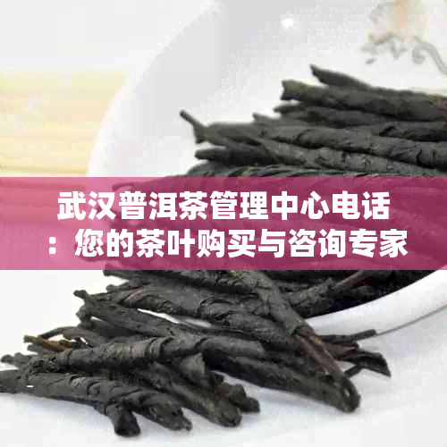 武汉普洱茶管理中心电话：您的茶叶购买与咨询专家