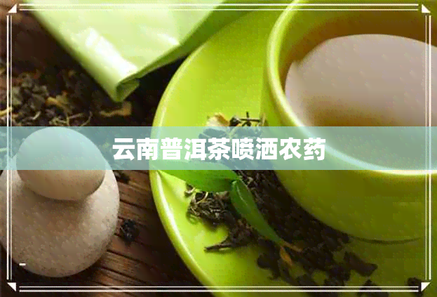 云南普洱茶喷洒农