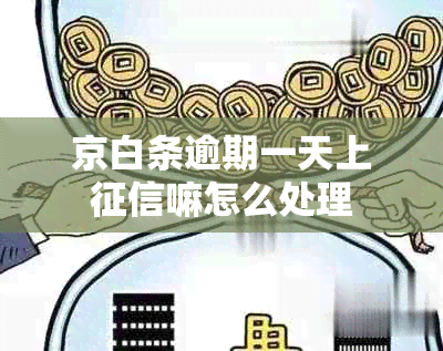 京白条逾期一天上嘛怎么处理