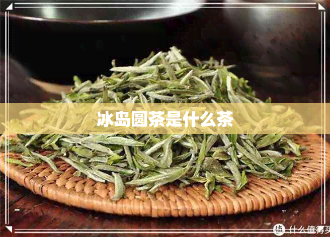 冰岛圆茶是什么茶