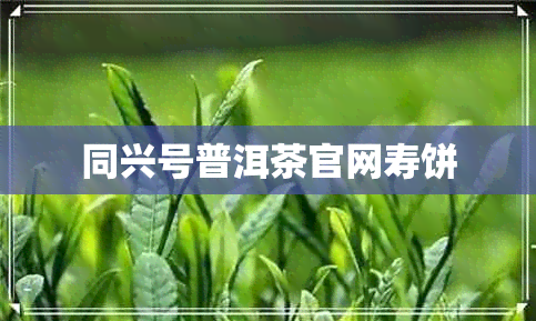 同兴号普洱茶官网寿饼