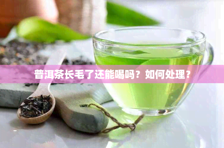 普洱茶长毛了还能喝吗？如何处理？