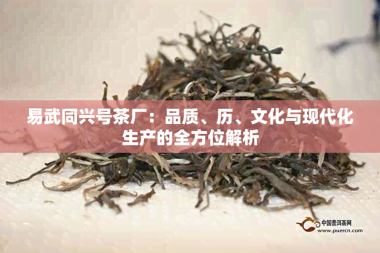 易武同兴号茶厂：品质、历、文化与现代化生产的全方位解析