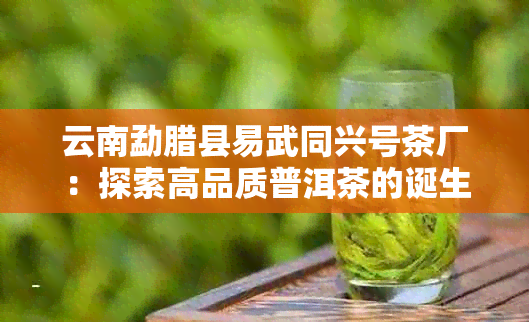 云南勐腊县易武同兴号茶厂：探索高品质普洱茶的诞生之地