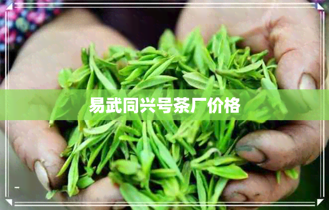 易武同兴号茶厂价格