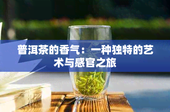 普洱茶的香气：一种独特的艺术与感官之旅