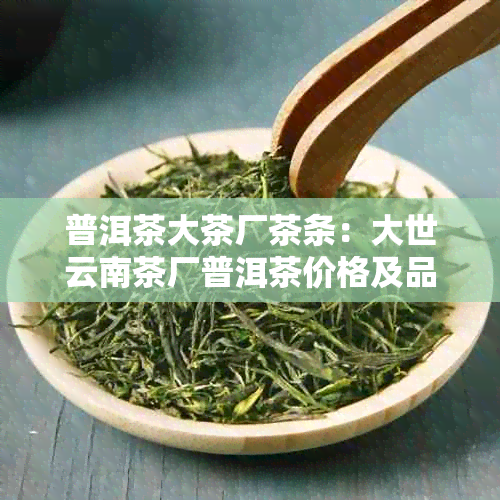 普洱茶大茶厂茶条：大世云南茶厂普洱茶价格及品质解析