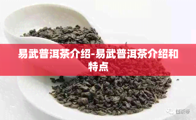 易武普洱茶介绍-易武普洱茶介绍和特点