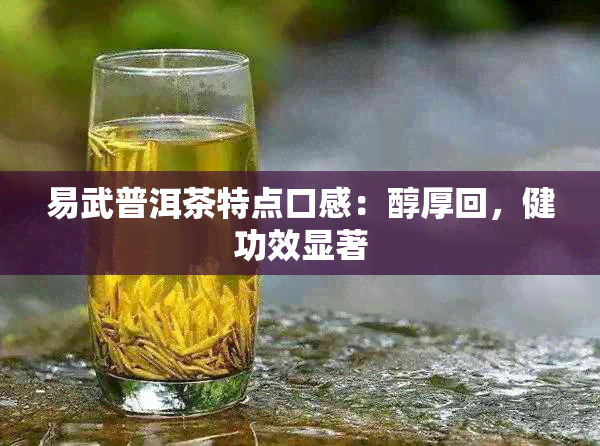 易武普洱茶特点口感：醇厚回，健功效显著