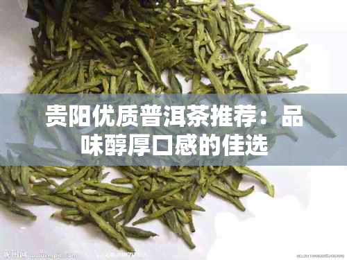 贵阳优质普洱茶推荐：品味醇厚口感的佳选