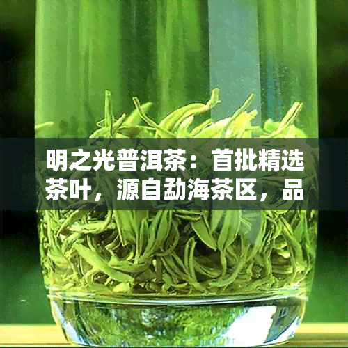 明之光普洱茶：首批精选茶叶，源自勐海茶区，品味独特的云南普洱韵味