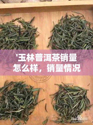 '玉林普洱茶销量怎么样，销量情况如何？'