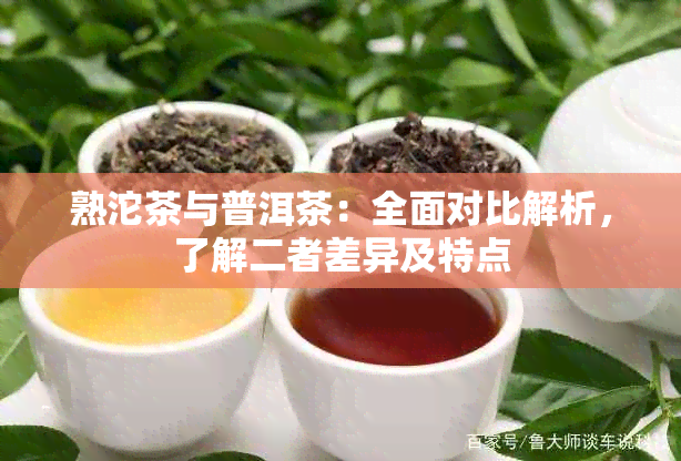 熟沱茶与普洱茶：全面对比解析，了解二者差异及特点