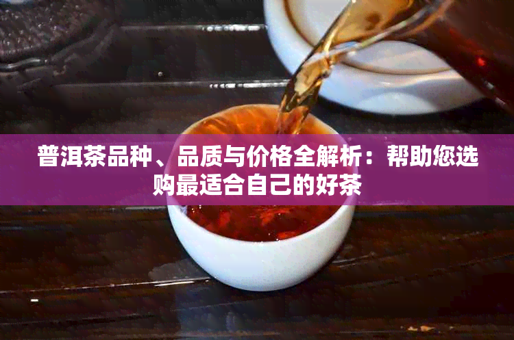 普洱茶品种、品质与价格全解析：帮助您选购最适合自己的好茶