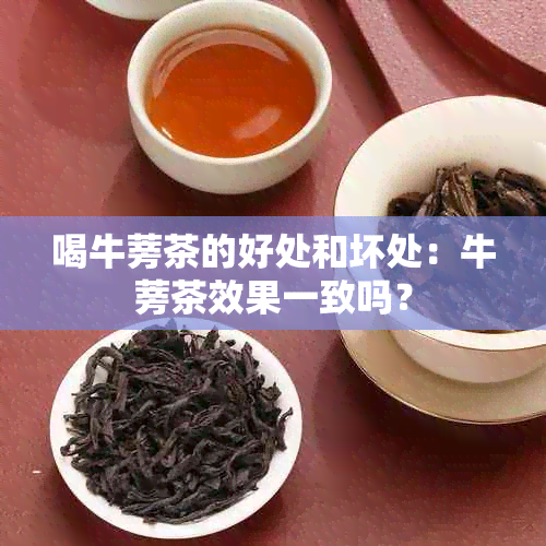 喝牛蒡茶的好处和坏处：牛蒡茶效果一致吗？